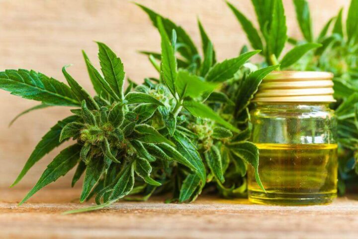 Square CBD Processing: Overcoming Typical CBD Industry Financial Obstacles