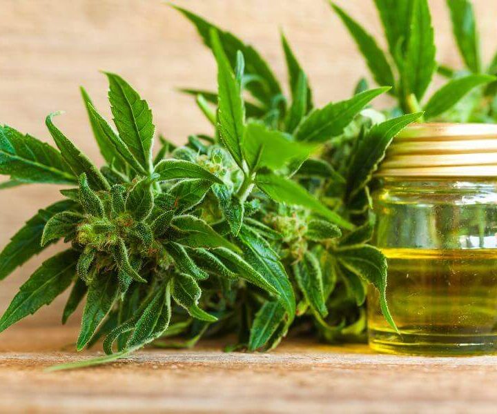 Square CBD Processing: Overcoming Typical CBD Industry Financial Obstacles